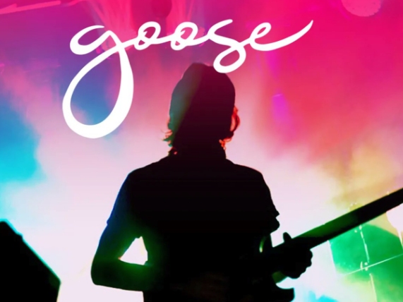 10 Best Quintessential Goose Songs