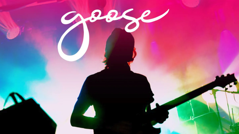 10 Best Quintessential Goose Songs